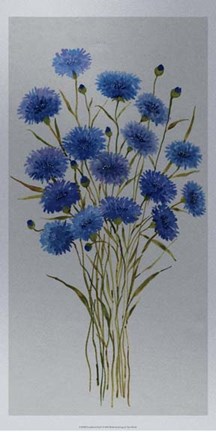 Framed Cornflower Patch I Print