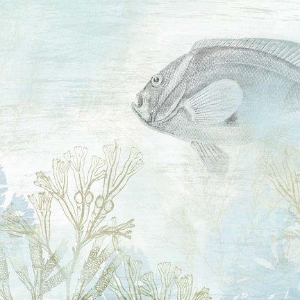 Framed Coastal Fresco II Print