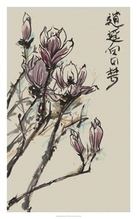 Framed Mandarin Magnolia II Print