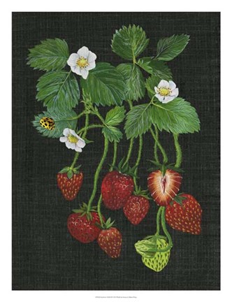 Framed Strawberry Fields II Print