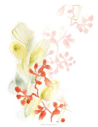 Framed Sea Branch I Print