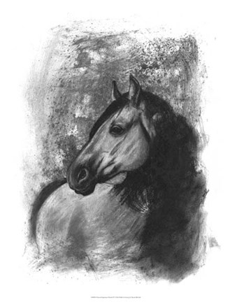 Framed Charcoal Equestrian Portrait IV Print