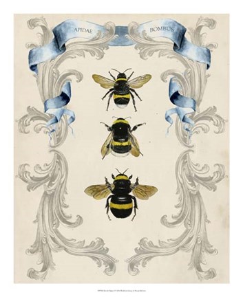 Framed Bees &amp; Filigree I Print