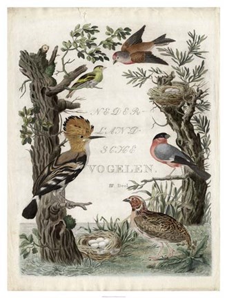 Framed Woodpecker Sanctuary Print