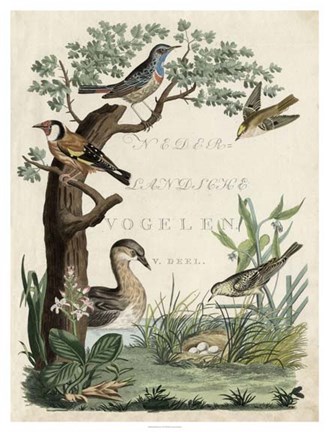 Framed Duck Sanctuary Print