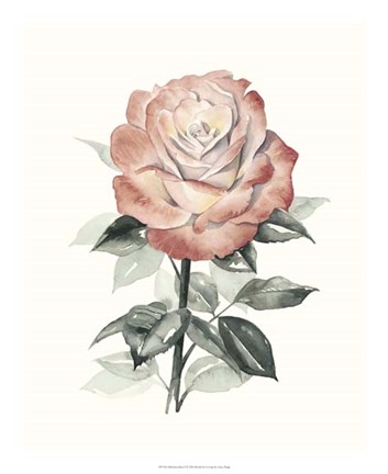 Framed Beholden Rose I Print
