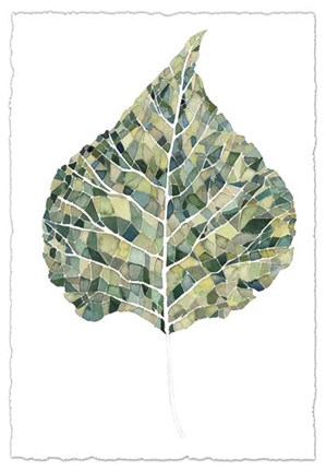 Framed Verdant Details I Print