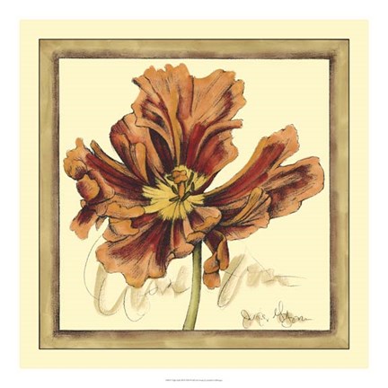 Framed Tulip Study III Print