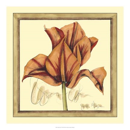 Framed Tulip Study IV Print
