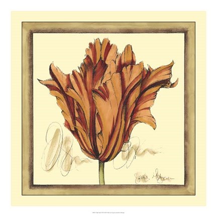 Framed Tulip Study VII Print