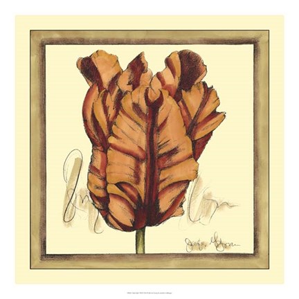 Framed Tulip Study VIII Print