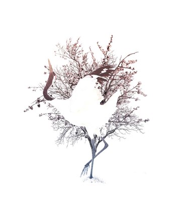 Framed Red Crowned Crane Pair, Part I Print