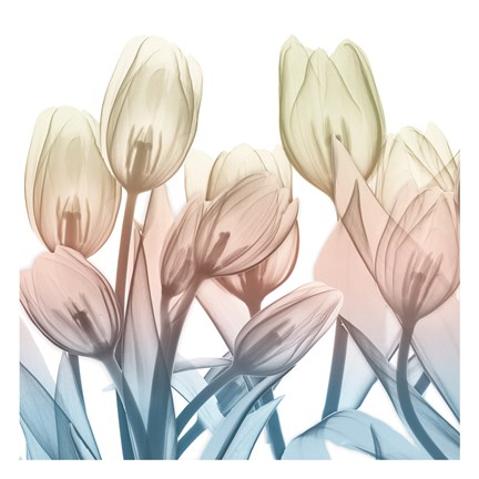 Framed Magical Garden View Print