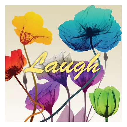 Framed Floral Calm Pop Laugh Print