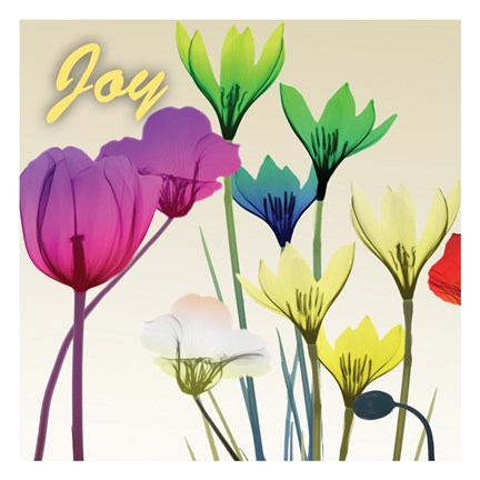Framed Floral Calm Pop Joy Print