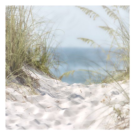 Framed Over The Coastal Dune Print