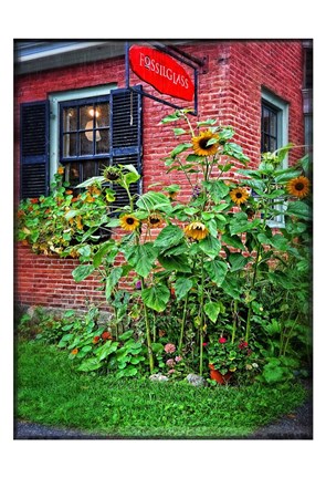 Framed Country Store Sunflowers Print