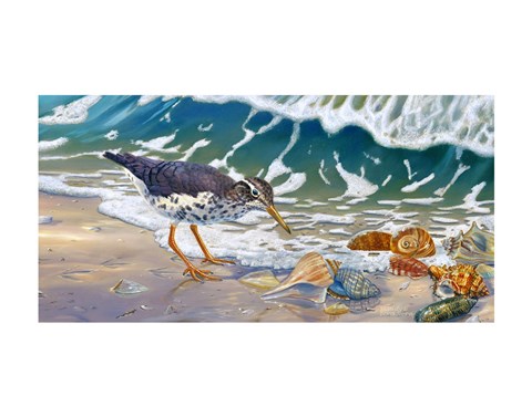 Framed Beach Bums Print