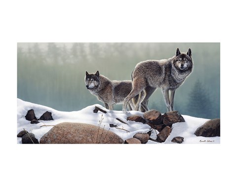 Framed Out of the Forest Print