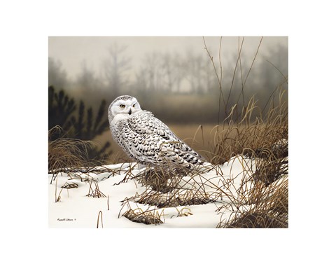 Framed Snowy Mist Print