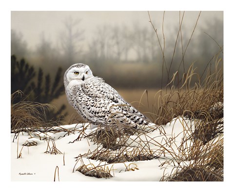 Framed Snowy Mist Print