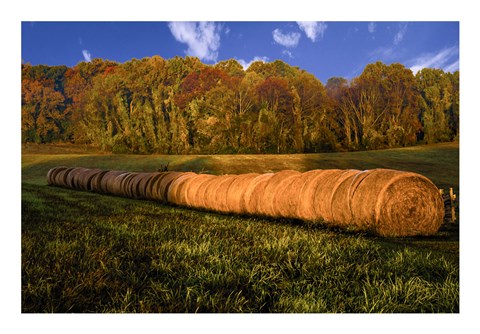 Framed Hay Bales Print