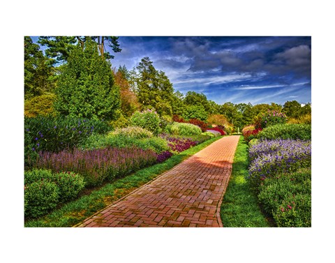 Framed Yellow Brick Road Print