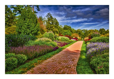 Framed Yellow Brick Road Print