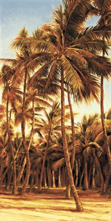 Framed Island Sunset I Print