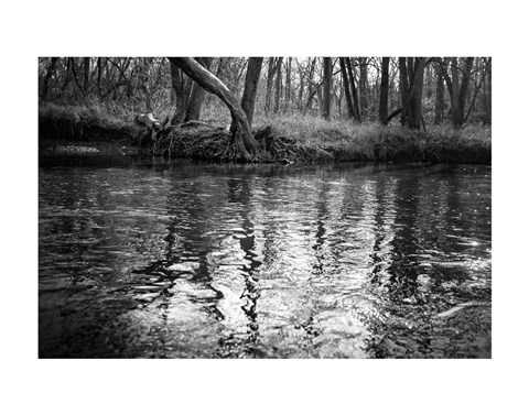 Framed Bank Study #1 Print