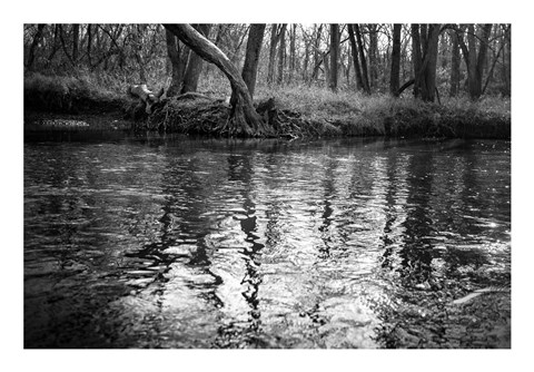 Framed Bank Study #1 Print