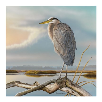 Framed Marsh Watch - Great Blue Heron Print