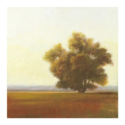 Framed Lone Tree Print