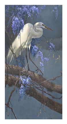 Framed Egret in Wisteria Print
