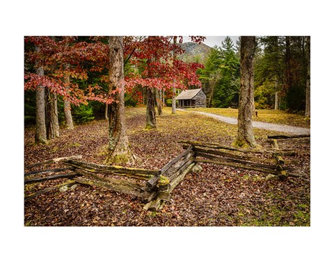 Framed Smokies Cabin Print