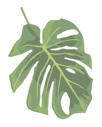 Framed Philodendron 2 Print