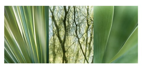 Framed Jade Gardens Print