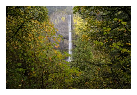 Framed Oregon Waterfall Print