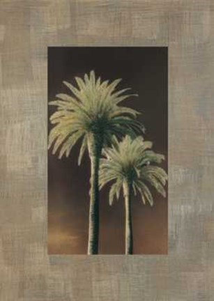 Framed Palmas II Print