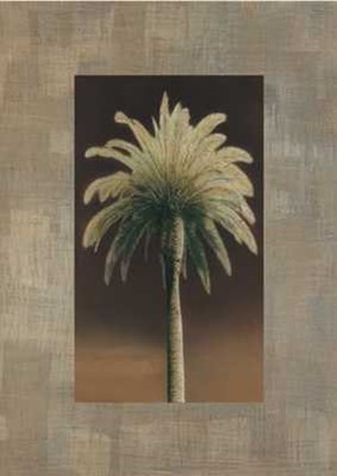 Framed Palmas I Print