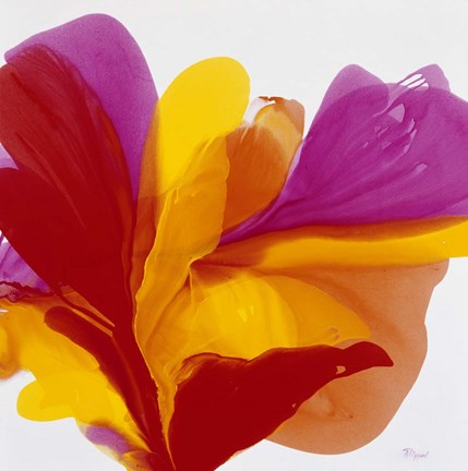 Framed Opening My Face to the Sun Print