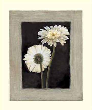 Framed Flora II Print