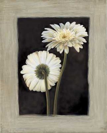 Framed Flora II Print