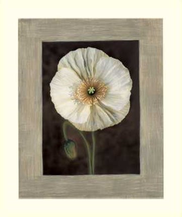 Framed Flora I Print