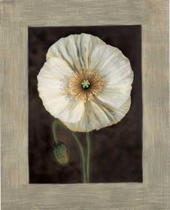 Framed Flora I Print