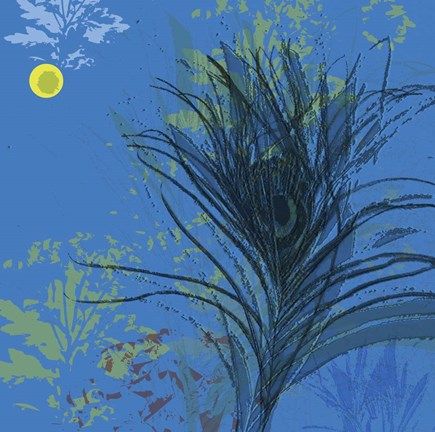 Framed Nuit Calme Print