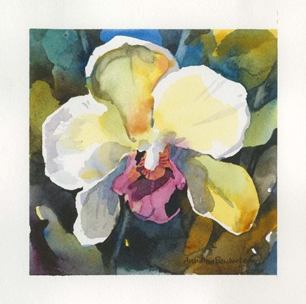 Framed Elegance Print