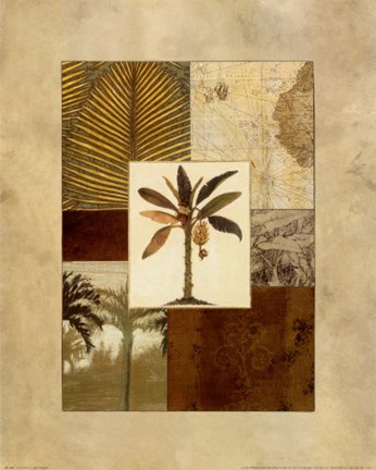 Framed Colonial II Print