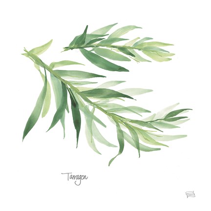 Framed Tarragon Print