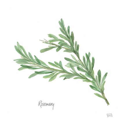 Framed Rosemary Print